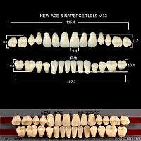 Зубы GLORIA, цвет A2, фасон TL6 М33, акриловые двухслойные, полный гарн - зубы акриловые двухслойные, полный гарнитур, 28 шт.