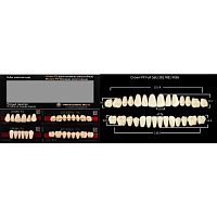 Зубы PX CROWN / EFUCERA, цвет C4, фасон S81/N81/36, полный гарнитур, 28шт.