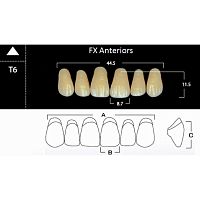 FX Anteriors - Зубы акриловые двухслойные, фронтальные верхние, цвет B3, фасон T6, 6 шт