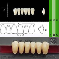 Зубы NEW ACE Anterior, цвет C1, фасон L3 акриловые двухслойные, 6 шт.