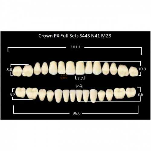 Зубы PX CROWN / EFUCERA, цвет B4, фасон S44S/N41/28, полный гарнитур, 28шт. фото 2
