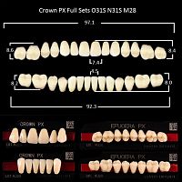 Зубы PX CROWN / EFUCERA, цвет A2, фасон O31S/N31S/28, полный гарнитур, 28шт. от Атридент