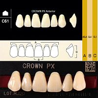 Зубы CROWN PX Anterior, цвет W05, фасон C61 композитные трехслойные, 6 шт.