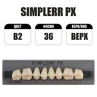 PX Simplerr Posterior боковые верхние, B2, ф. 36, зубы акриловые трехслойные, 8 шт.