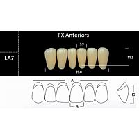 FX Anteriors - Зубы акриловые двухслойные, фронтальные нижние, цвет A2, фасон LA7, 6 шт