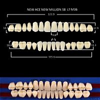 Зубы NEW ACE/NEW MILLION, цвет W05, фасон S8/L7/M36, полный гарнитур, 28шт. от Атридент