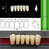 Зубы NEW ACE Anterior, цвет W05, фасон L6 акриловые двухслойные, 6 шт.