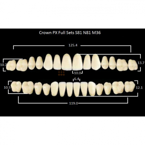 Зубы PX CROWN / EFUCERA, цвет C2, фасон S81/N81/36, полный гарнитур, 28шт. фото 2