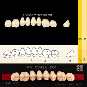 Зубы EFUCERA PX Posteriors, цвет A2, фасон 28, композитные трехслойные боковые верхние, 8 штук на планке. от Атридент