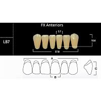 FX Anteriors - Зубы акриловые двухслойные, фронтальные нижние, цвет B3, фасон LB7, 6 шт