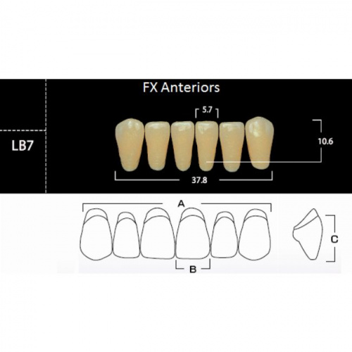 FX Anteriors - Зубы акриловые двухслойные, фронтальные нижние, цвет D2, фасон LB7, 6 шт от Атридент