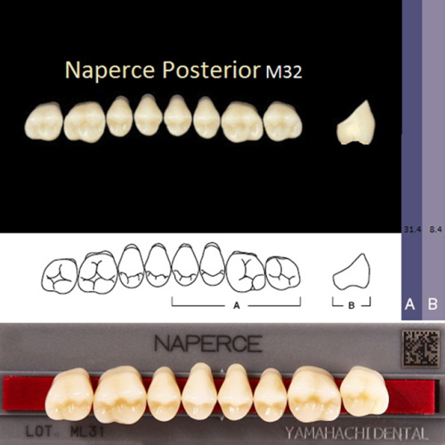 Зубы NAPERCE Posterior, цвет C3, фасон М32 акриловые двухслойные, 8 шт. от Атридент