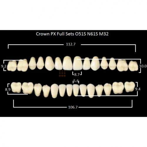 Зубы PX CROWN / EFUCERA, цвет B1, фасон O51S/N61S/32, полный гарнитур, 28шт. фото 2