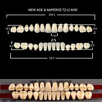 Зубы GLORIA, цвет C3, фасон T2 М30, акриловые двухслойные, полный гарнитур, 28 шт. от Атридент