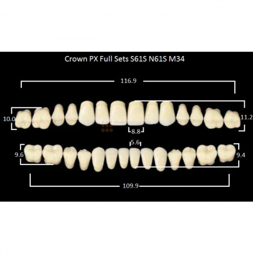 Зубы PX CROWN / EFUCERA, цвет D2, фасон S61S/N61S/34, полный гарнитур, 28шт. фото 2