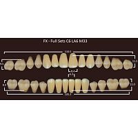 FX зубы акриловые двухслойные, полный гарнитур (28 шт.) на планке, A1, C6/LA6/M33