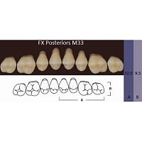 FX Posteriors - Зубы акриловые двухслойные, боковые верхние, цвет D3, фасон М33, 8 шт