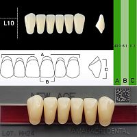 Зубы NEW ACE Anterior, цвет B4, фасон L10 акриловые двухслойные, 6 шт.