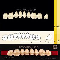 Зубы EFUCERA PX Posteriors, цвет D3, фасон 34, композитные трехслойные боковые верхние, 8 штук на планке. от Атридент