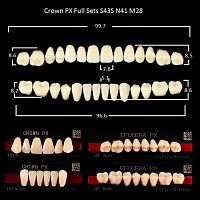 Зубы PX CROWN / EFUCERA, цвет D2, фасон S43S/N41/28, полный гарнитур, 28шт.