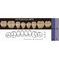 FX Posteriors - Зубы акриловые двухслойные, боковые нижние, цвет B3, фасон М32, 8 шт