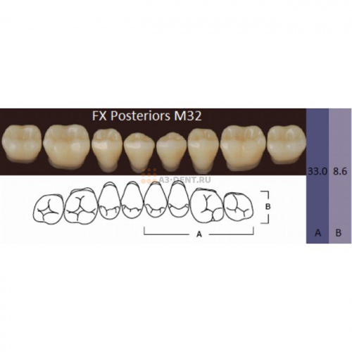 FX Posteriors - Зубы акриловые двухслойные, боковые нижние, цвет A3, фасон M32, 8 шт