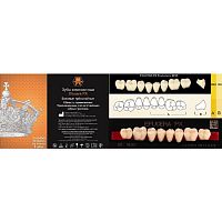 Зубы EFUCERA PX Posteriors, цвет D3, фасон 30, композитные трехслойные боковые нижние, 8 штук на планке.
