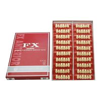 FX Anteriors - Зубы акриловые двухслойные, фронтальные верхние, цвет 56, фасон Т5, 6 шт