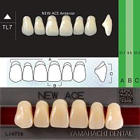 Зубы NEW ACE Anterior, цвет B4, фасон TL7 акриловые двухслойные, 6 шт. от Атридент