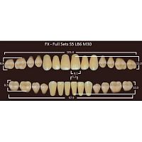 FX зубы акриловые двухслойные, полный гарнитур (28 шт.) на планке, C1, S5/LB6/M30