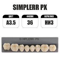 PX Simplerr Posterior боковые нижние, A3.5, ф. 36, зубы акриловые трехслойные, 8 шт.