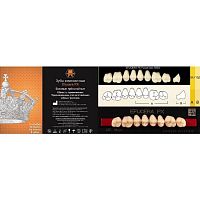 Зубы EFUCERA PX Posteriors, цвет B4, фасон 34, композитные трехслойные боковые верхние, 8 штук на планке.