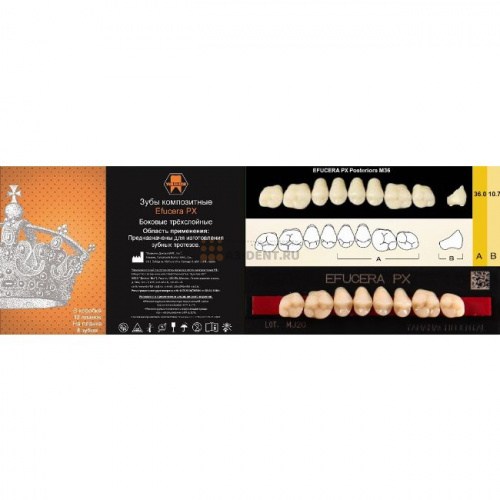 Зубы EFUCERA PX Posteriors, цвет A1, фасон 36, композитные трехслойные боковые верхние, 8 штук на планке.