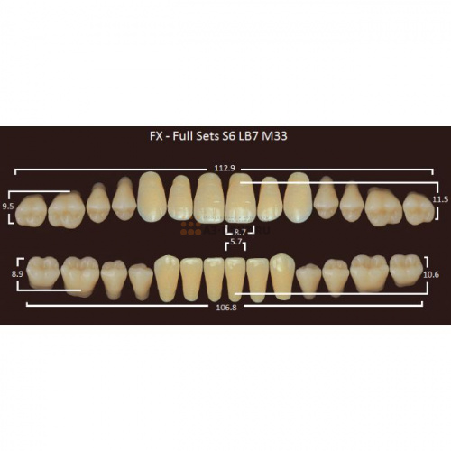 FX зубы акриловые двухслойные, полный гарнитур (28 шт.) на планке, A3.5, S6/LB7/M33
