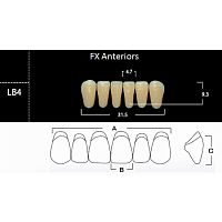 FX Anteriors - Зубы акриловые двухслойные, фронтальные нижние, цвет D3, фасон LB4, 6 шт