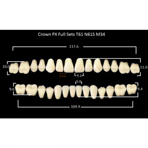 Зубы PX CROWN / EFUCERA, цвет A3, фасон T61/N61S/34, полный гарнитур, 28шт. фото 2