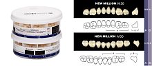 Зубы в боксах Million Posterior, однослойные, цвет B2, фасон M30, 20 боковых гарнитуров, 320 штук.