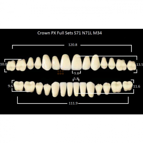 Зубы PX CROWN / EFUCERA, цвет C1, фасон S71/N71L/34, полный гарнитур, 28шт. фото 2