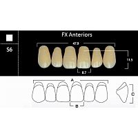 FX Anteriors - Зубы акриловые двухслойные, фронтальные верхние, цвет D3, фасон S6, 6 шт