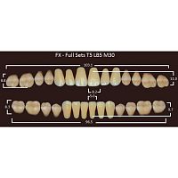 FX зубы акриловые двухслойные, полный гарнитур (28 шт.) на планке, D4, T5/LB5/M30 от Атридент
