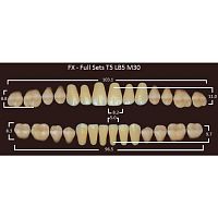 FX зубы акриловые двухслойные, полный гарнитур (28 шт.) на планке, A3, T5/LB5/M30