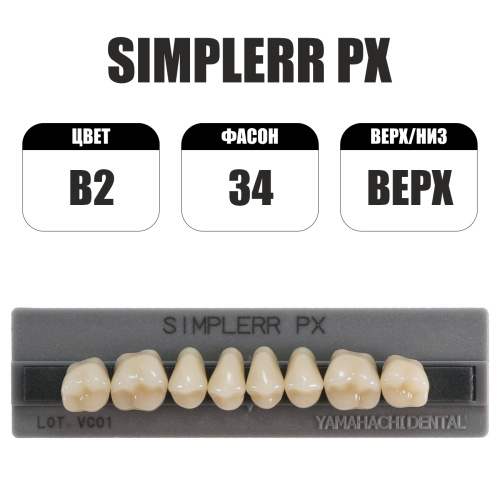 PX Simplerr Posterior боковые верхние, B2, ф. 34, зубы акриловые трехслойные, 8 шт. от Атридент