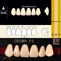 Зубы CROWN PX Anterior, цвет C4, фасон T51S композитные трехслойные, 6 шт.