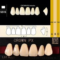 Зубы CROWN PX Anterior, цвет C2, фасон S51S композитные трехслойные, 6 шт.