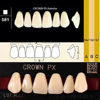 Зубы CROWN PX Anterior, цвет B2, фасон S81 композитные трехслойные, 6 шт.