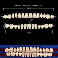 Зубы NEW ACE/NEW MILLION, цвет W05, фасон T5/L7/M32, полный гарнитур, 28шт.