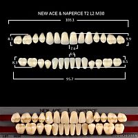 Зубы GLORIA, цвет B2, фасон T2 М30, акриловые двухслойные, полный гарнитур, 28 шт.
