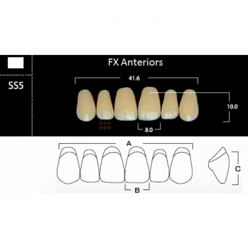 FX Anteriors - Зубы акриловые двухслойные, фронтальные верхние, цвет D2, фасон SS5, 6 шт