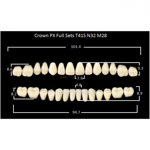 Зубы PX CROWN / EFUCERA, цвет C2, фасон T41S/N42/28, полный гарнитур, 28шт. фото 2