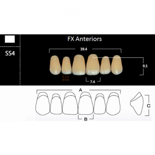 FX Anteriors - Зубы акриловые двухслойные, фронтальные верхние, цвет C4, фасон SS4, 6 шт
